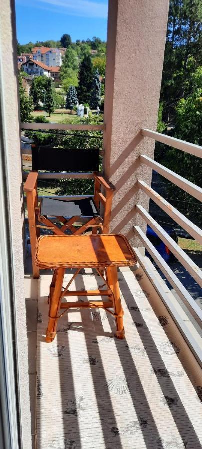 Apartman Lux Sneznik Vrnjacka Banja Luaran gambar