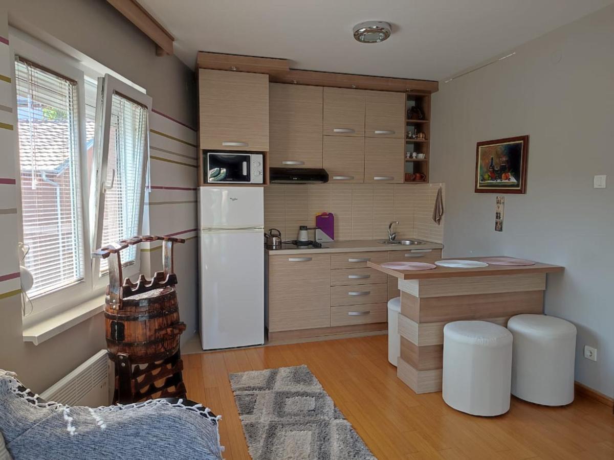 Apartman Lux Sneznik Vrnjacka Banja Luaran gambar